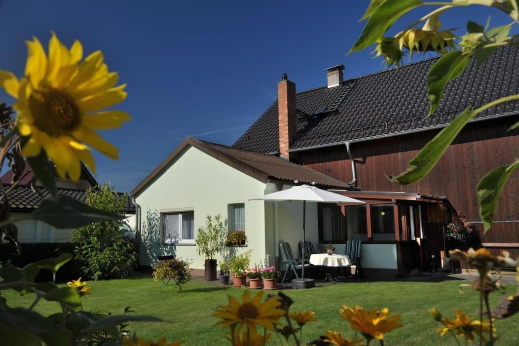Ferienwohnung Nachtigall Burg  Exterior foto